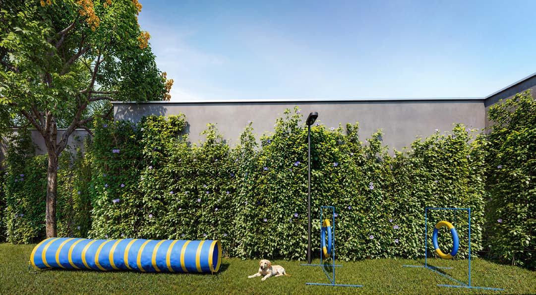 Perspectiva ilustrada — pet place