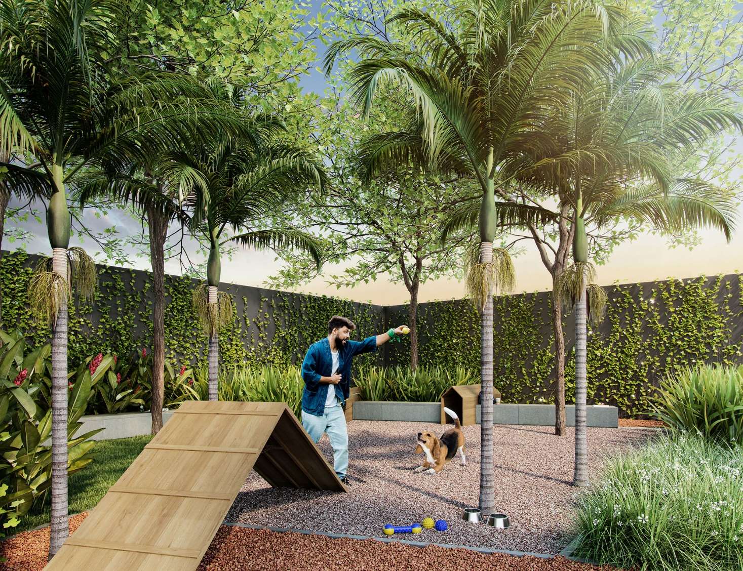 Perspectiva ilustrada — pet place